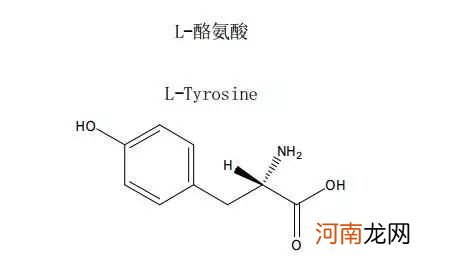 酪氨酸过高什么原因