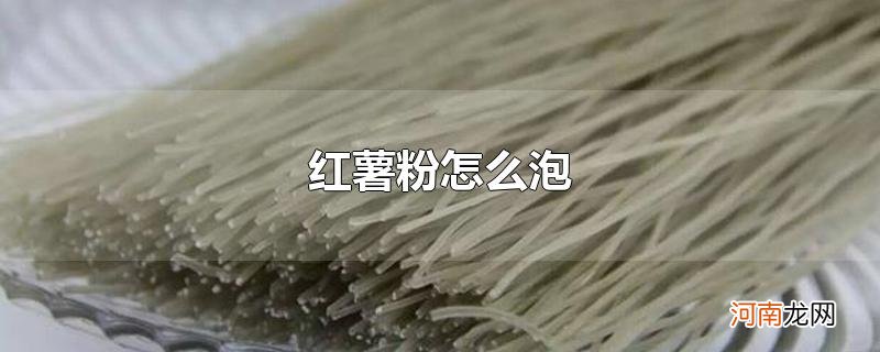 红薯粉怎么泡