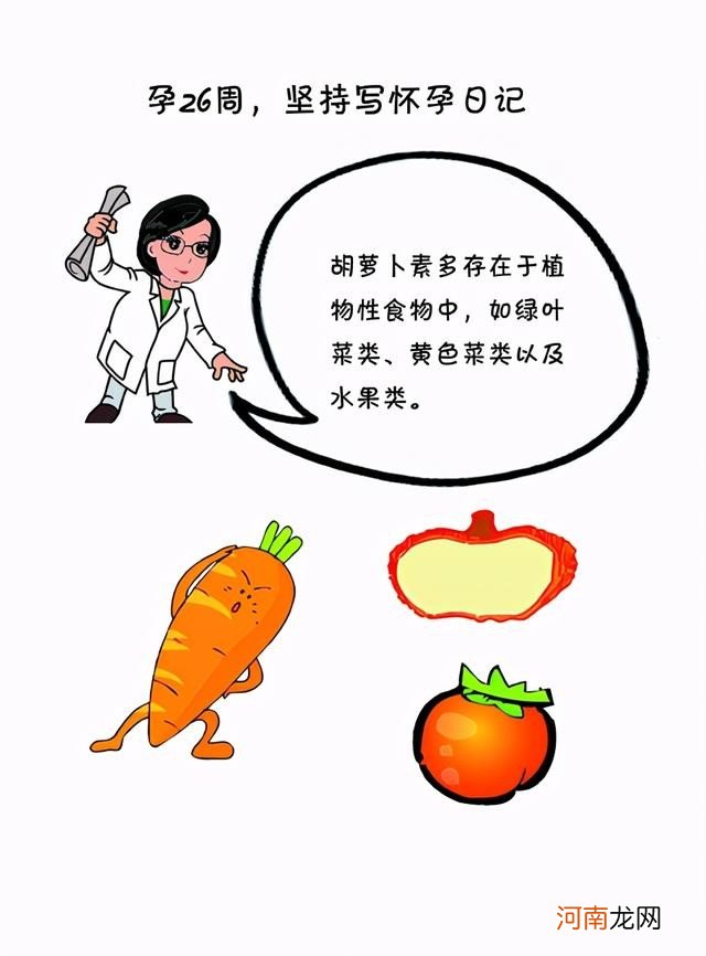 孕26周准妈妈饮食要点 怀孕26周吃什么好呢