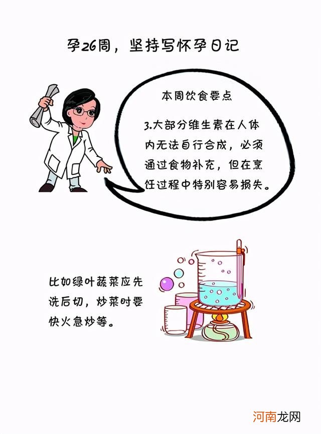 孕26周准妈妈饮食要点 怀孕26周吃什么好呢