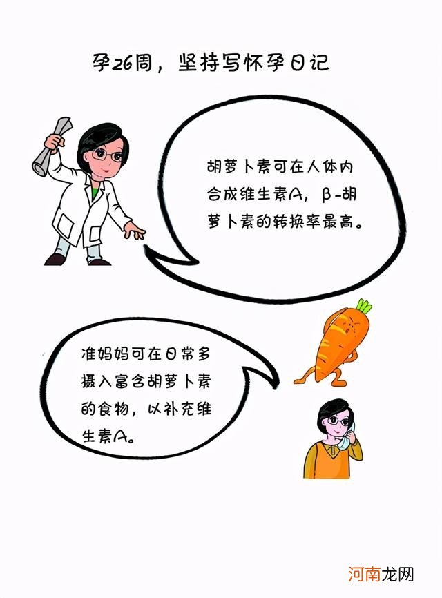 孕26周准妈妈饮食要点 怀孕26周吃什么好呢