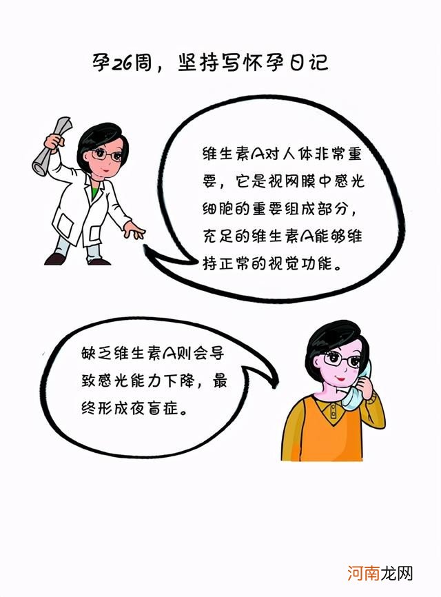 孕26周准妈妈饮食要点 怀孕26周吃什么好呢