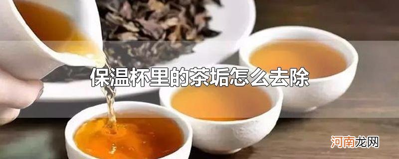 保温杯里的茶垢怎么去除