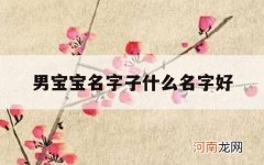 男宝宝名字子什么名字好_男宝宝取什么名字好听