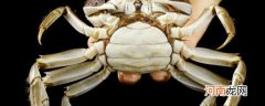 太湖蟹和阳澄湖蟹哪个种类对比好吃 太湖蟹和阳澄湖蟹的区别