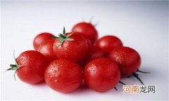 毛辣果与西红柿的区别