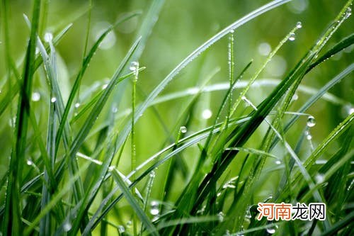 夏日清爽短发 让你魅力指数翻倍