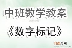 中班数学活动教案：数字标记教案