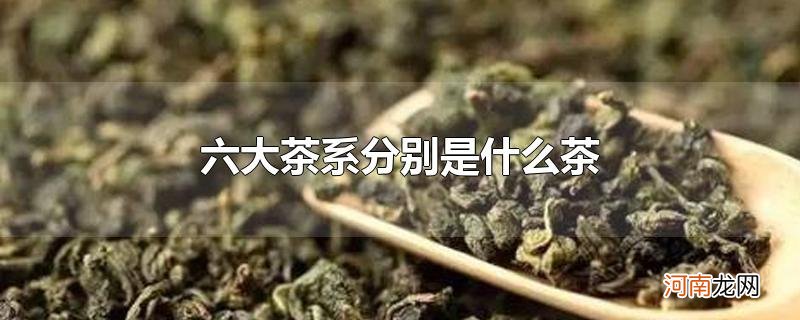 六大茶系分别是什么茶