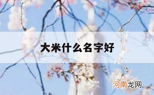 大米什么名字好_大米什么名字好听呢