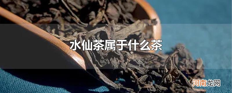 水仙茶属于什么茶