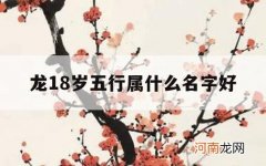 龙18岁五行属什么名字好_20岁的龙是什么五行