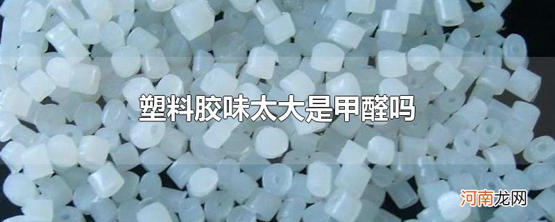 塑料胶味太大是甲醛吗