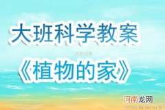 中班科学活动不怕冷的植物教案反思