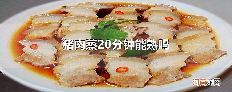 猪肉蒸20分钟能熟吗