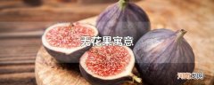 无花果寓意