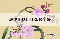 环卫团队用什么名字好_环卫公司起什么名字好