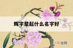 辉字辈起什么名字好_辉子辈名字