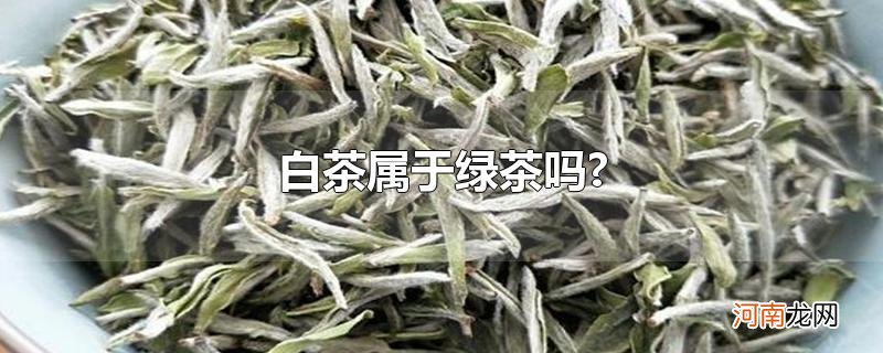 白茶属于绿茶吗?