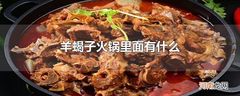 羊蝎子火锅里面有什么