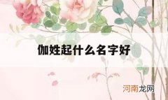 伽姓起什么名字好_伽作为姓氏