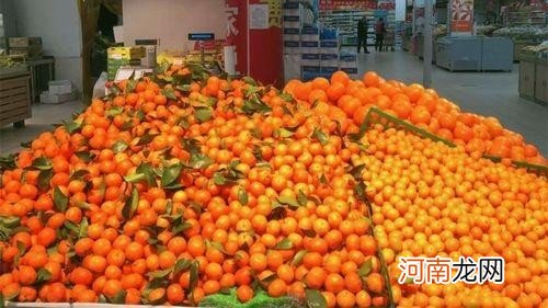 春节档的热门水果有哪些 过年了什么水果好卖