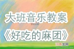 大班语言活动会飞的音乐盒教案反思