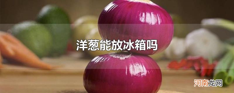 洋葱能放冰箱吗