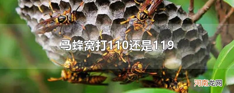 马蜂窝打110还是119