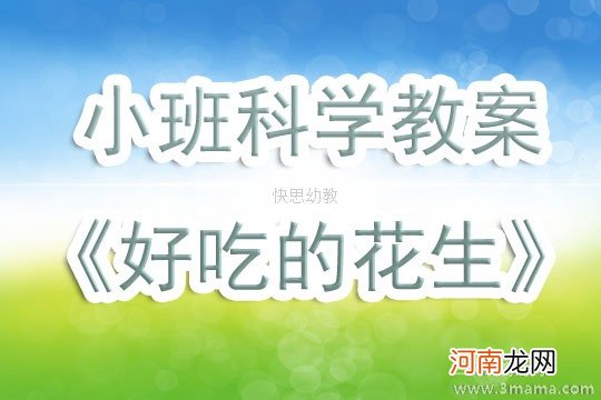 中班科学活动好吃的花生教案反思