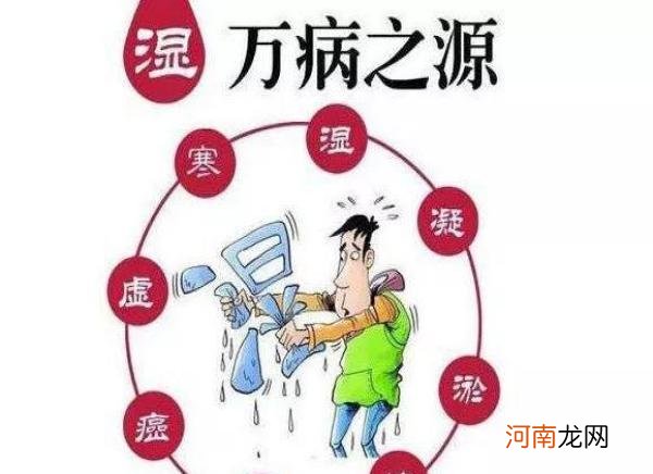 身体湿度大怎么调养