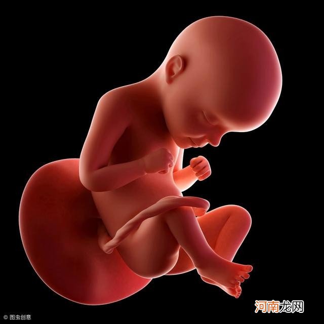 怀孕8个月胎儿长什么样 怀孕8个月胎儿b超