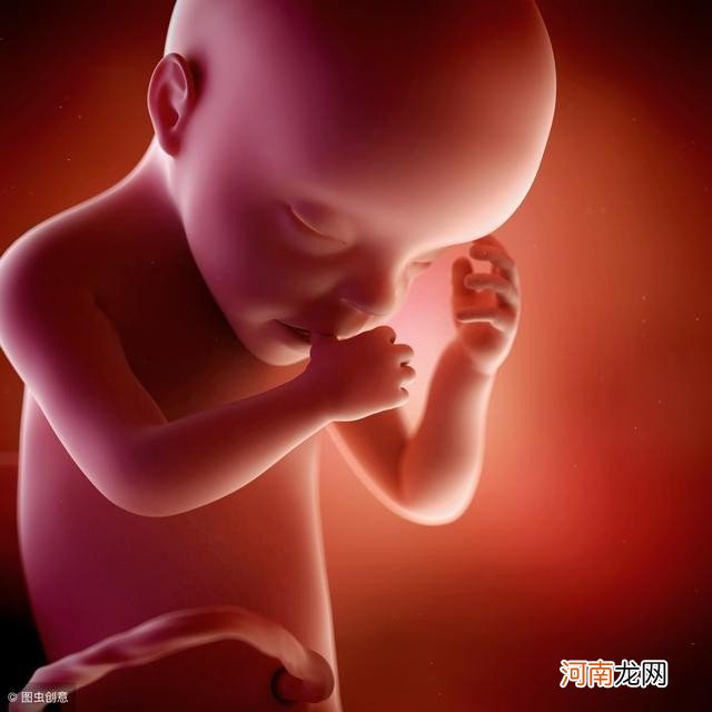 怀孕8个月胎儿长什么样 怀孕8个月胎儿b超