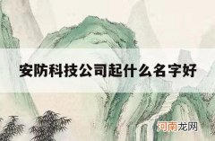 安防科技公司起什么名字好_安防公司名称怎么取