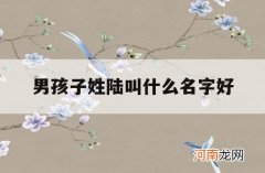 男孩子姓陆叫什么名字好_姓陆的男孩子名字