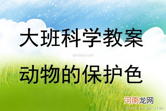 大班科学活动小小乌龟爬过来教案反思