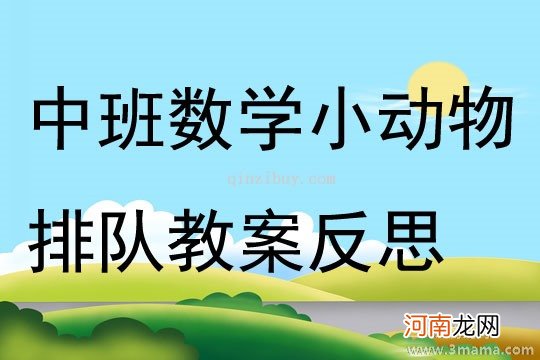 中班数学活动动物找家教案反思