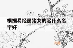 根据易经属猪女的起什么名字好_属猪的好听的女孩名字