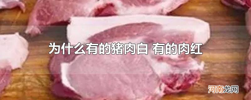 为什么有的猪肉白 有的肉红