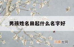 男孩姓名田起什么名字好_男孩儿姓田取名取什么名字好听