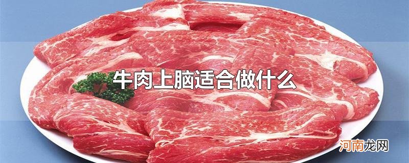 牛肉上脑适合做什么