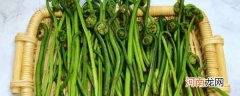 腌蕨菜的方法 腌蕨菜的方法介绍