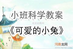 小班科学可爱的小兔优秀教案反思