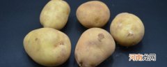 如何储藏土豆不发芽 储藏土豆不发芽的方法分享