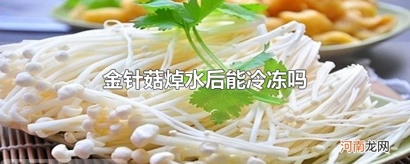 金针菇焯水后能冷冻吗