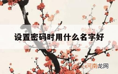 设置密码时用什么名字好_用什么设置密码最好