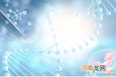 音乐启蒙与科学早教双结合，酷小狗早教机评测