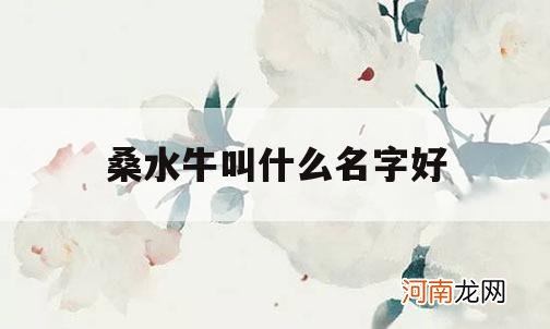 桑水牛叫什么名字好_水牛名字叫什么才好