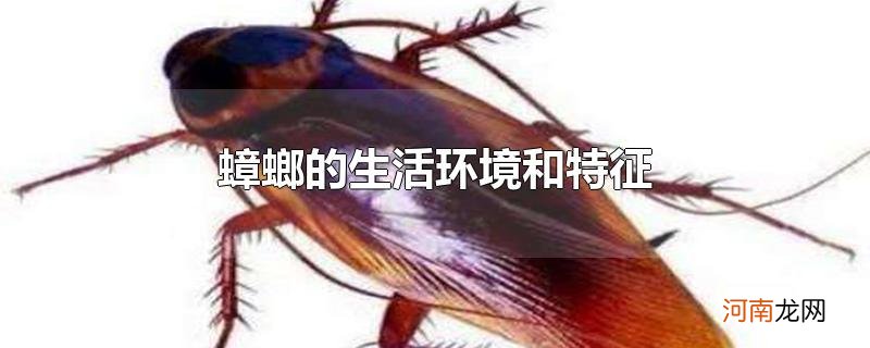 蟑螂的生活环境和特征