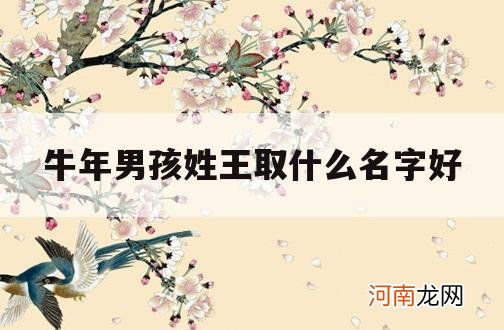 牛年男孩姓王取什么名字好_牛年王姓宝宝取名